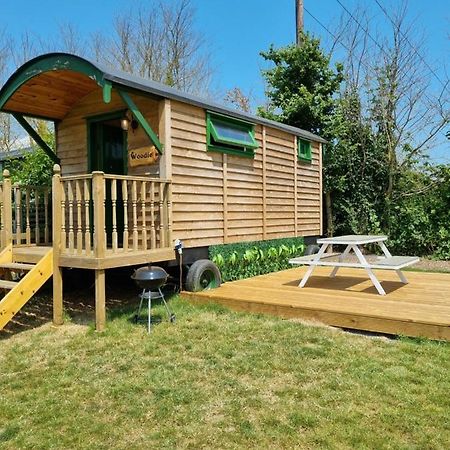 Woodie The Shepherds Hut - Sleeps 4 Чічестер Екстер'єр фото