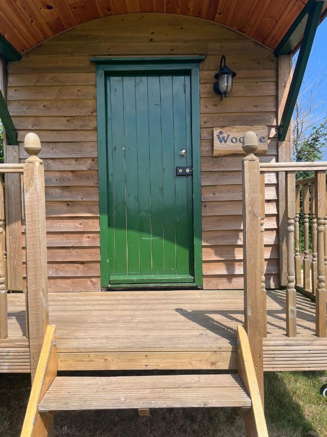 Woodie The Shepherds Hut - Sleeps 4 Чічестер Екстер'єр фото